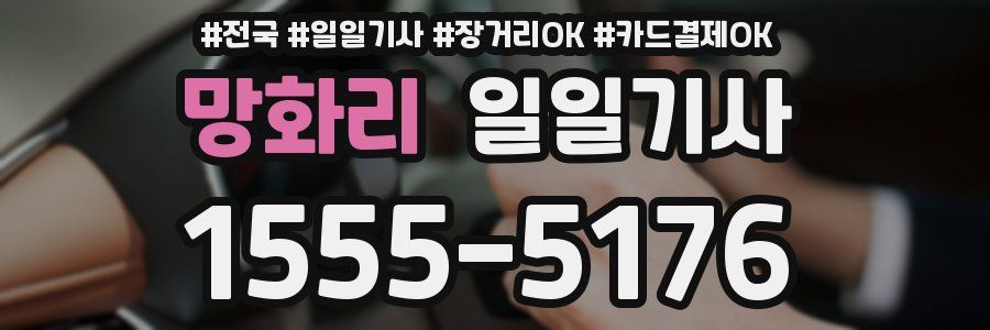 망화리 일일기사