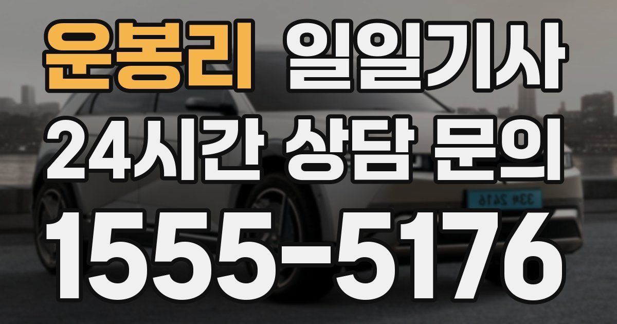 일일대리기사