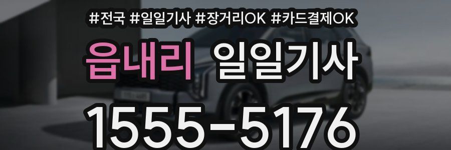 읍내리 일일기사