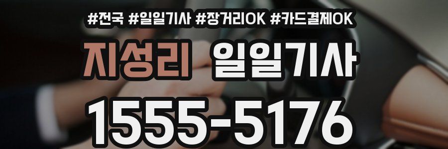 지성리 일일기사