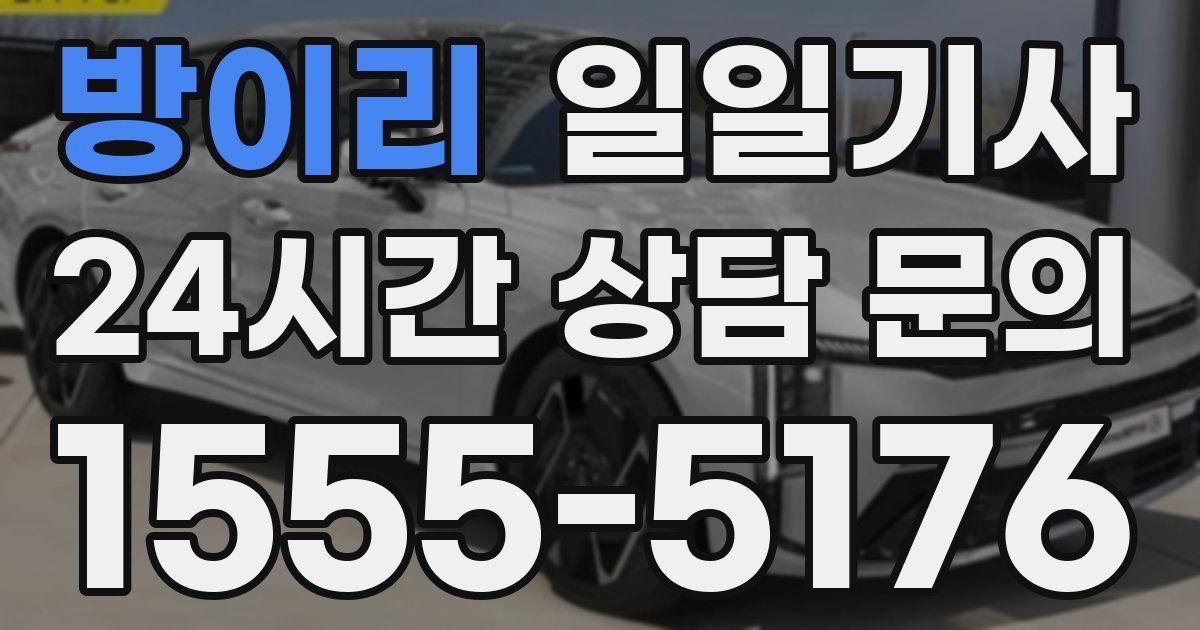 일일대리기사