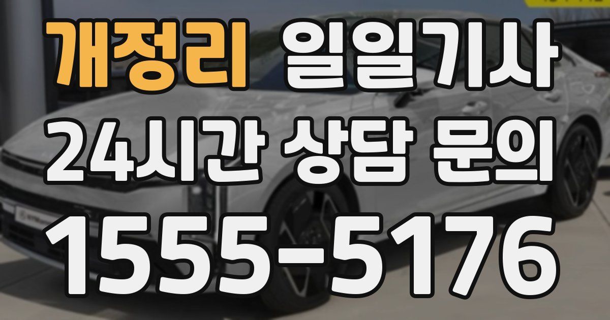 일일대리기사