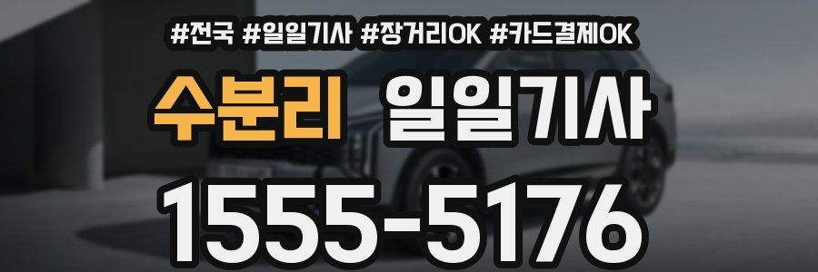 수분리 일일기사