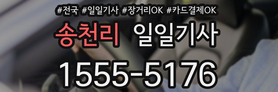 송천리 일일기사