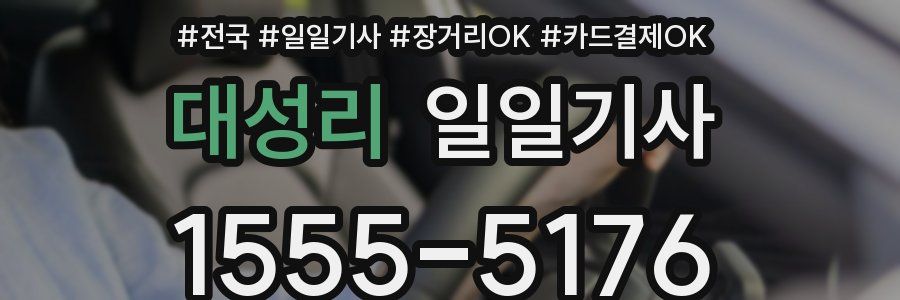 대성리 일일기사