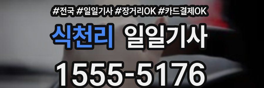 식천리 일일기사