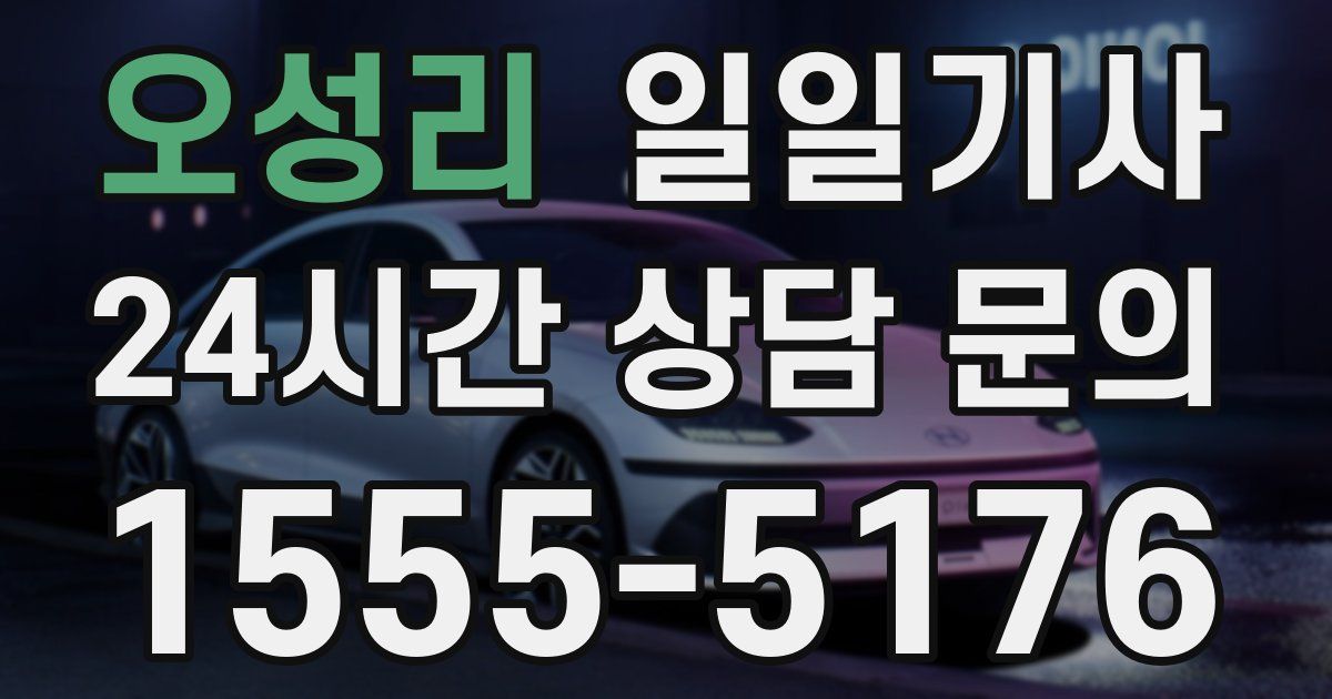 일일대리기사