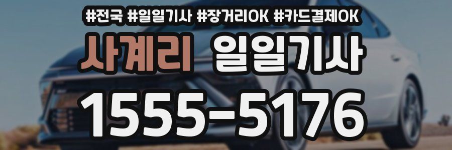 사계리 일일기사