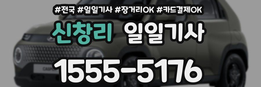 신창리 일일기사