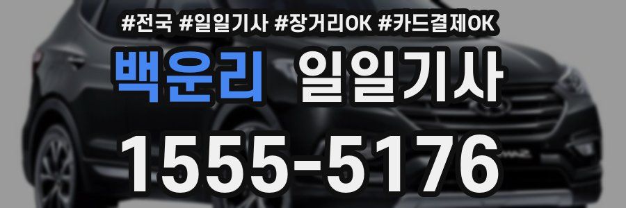 백운리 일일기사