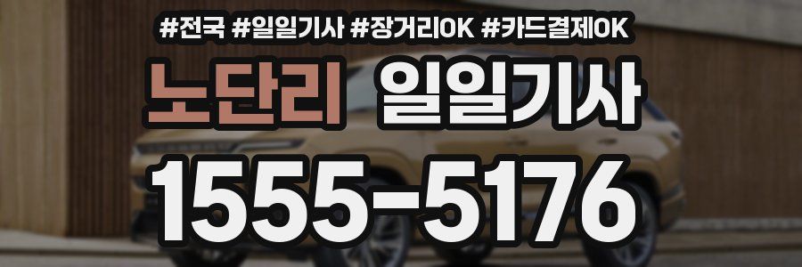 노단리 일일기사