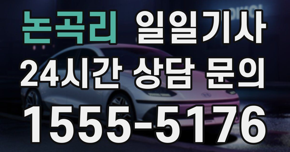 일일대리기사