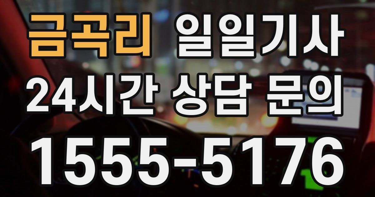 일일대리기사