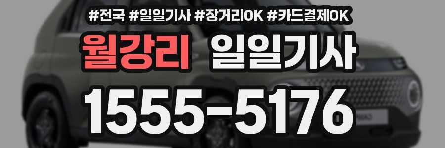 월강리 일일기사