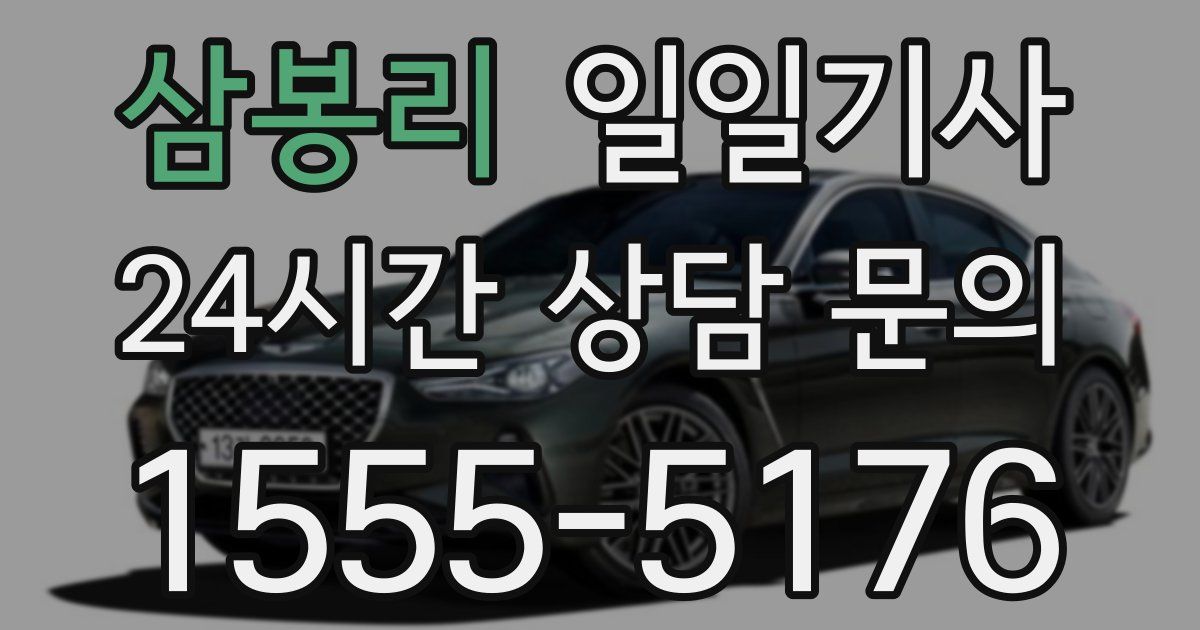 일일대리기사