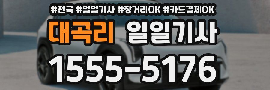 대곡리 일일기사