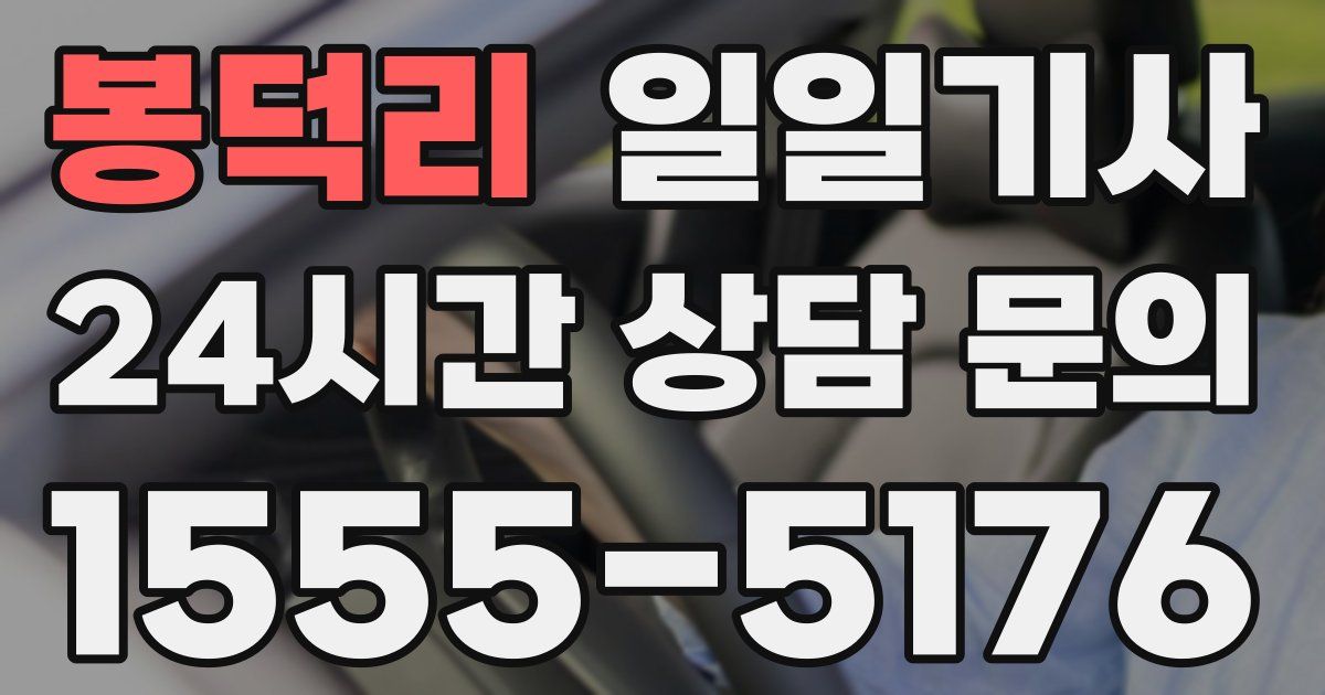 일일대리기사