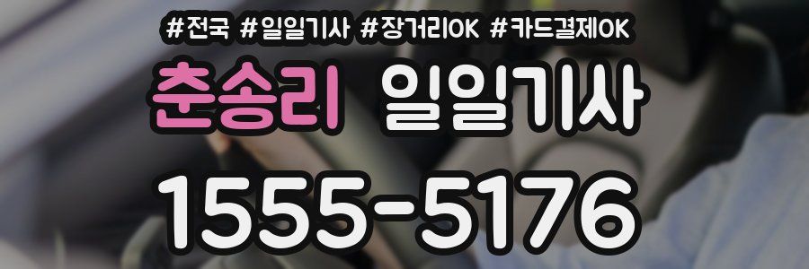 춘송리 일일기사