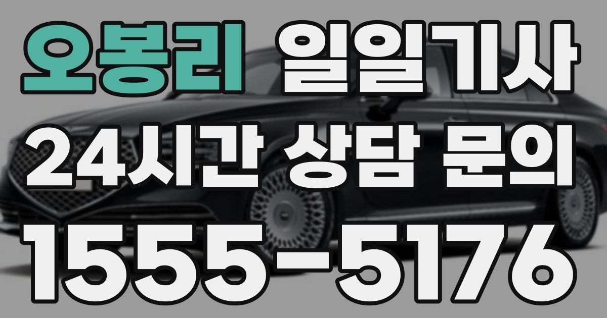 일일대리기사