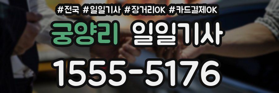 궁양리 일일기사