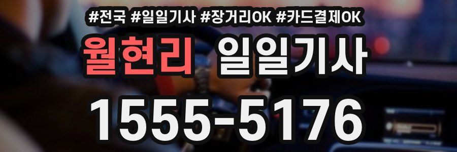 월현리 일일기사