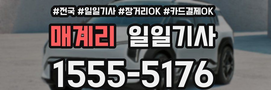 매계리 일일기사