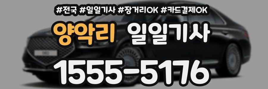 양악리 일일기사