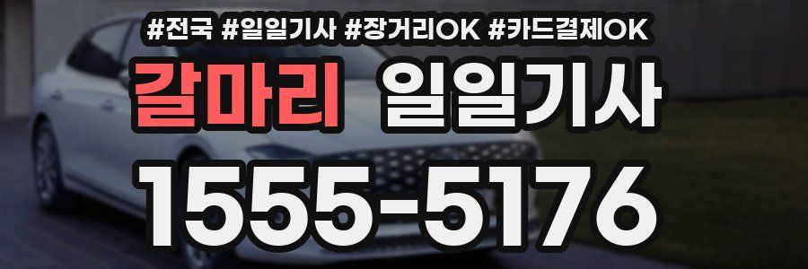 갈마리 일일기사