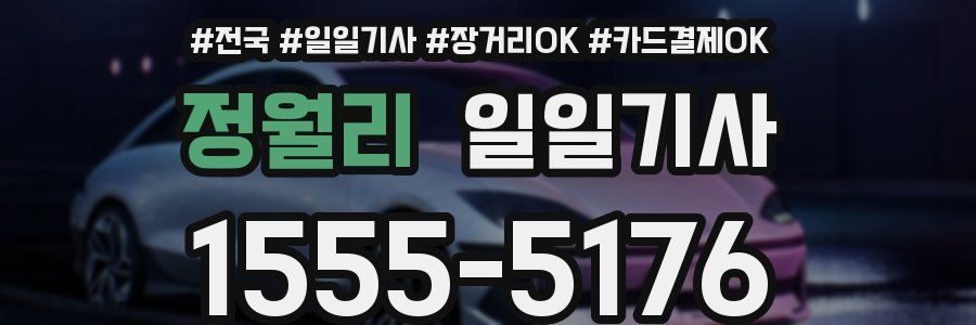 정월리 일일기사