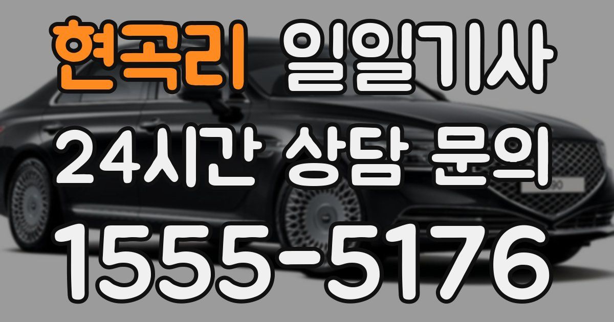일일대리기사