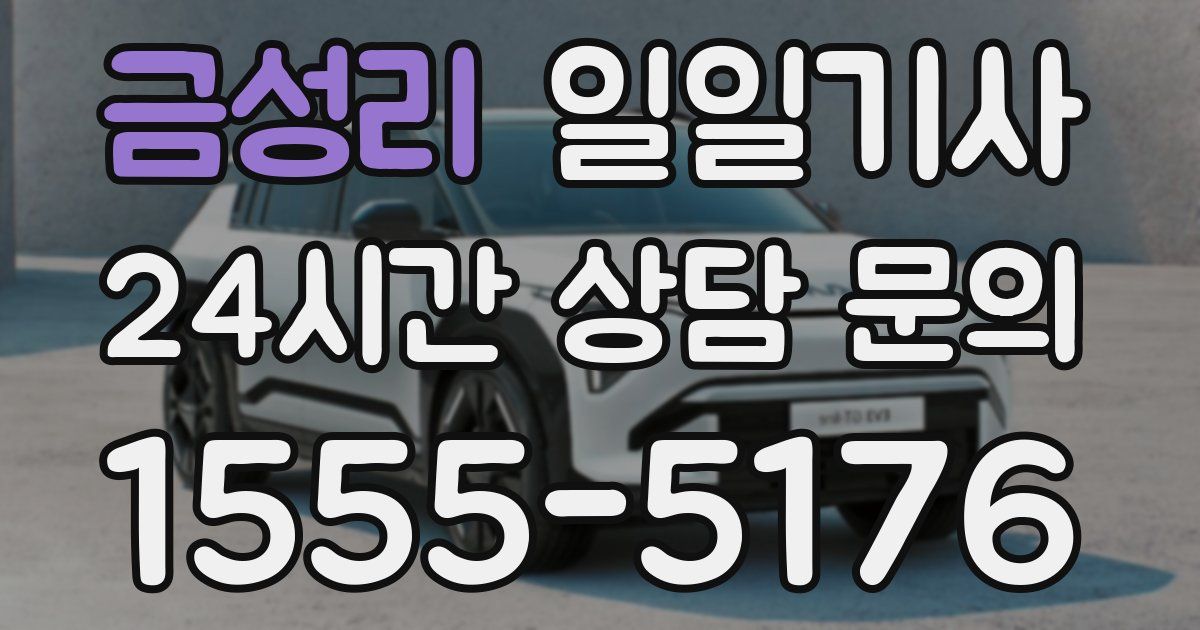 일일대리기사