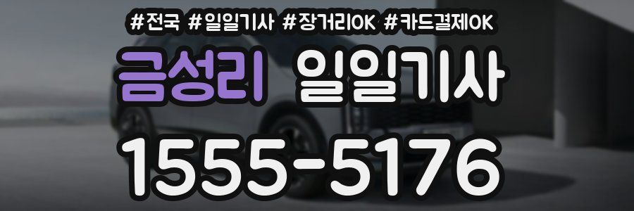 금성리 일일기사