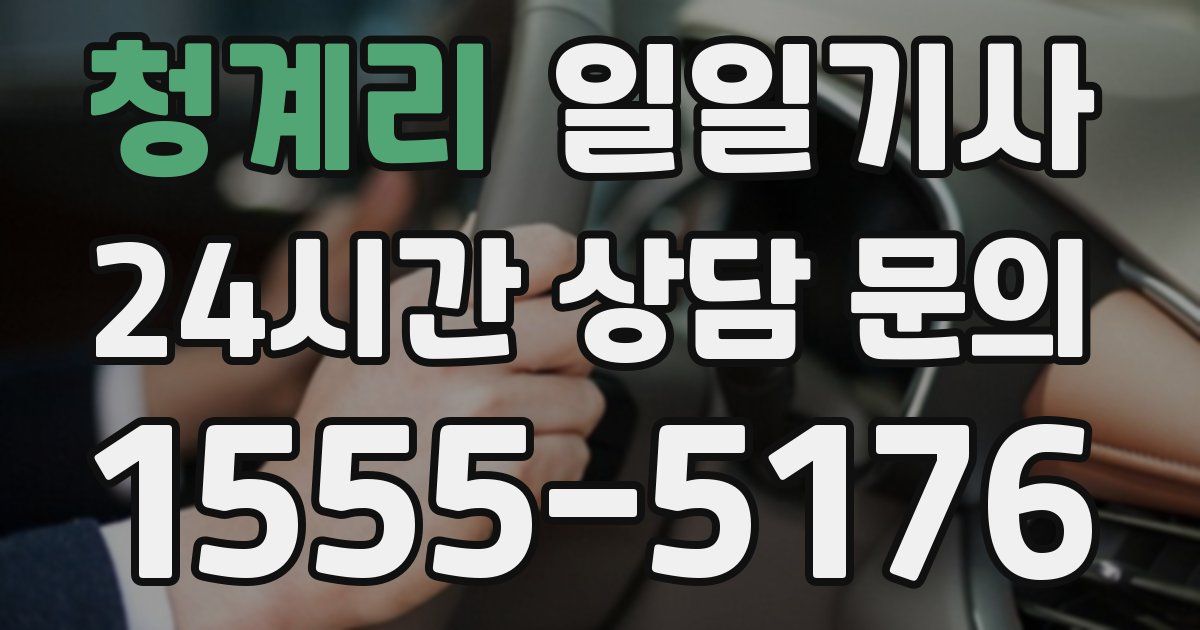 일일대리기사