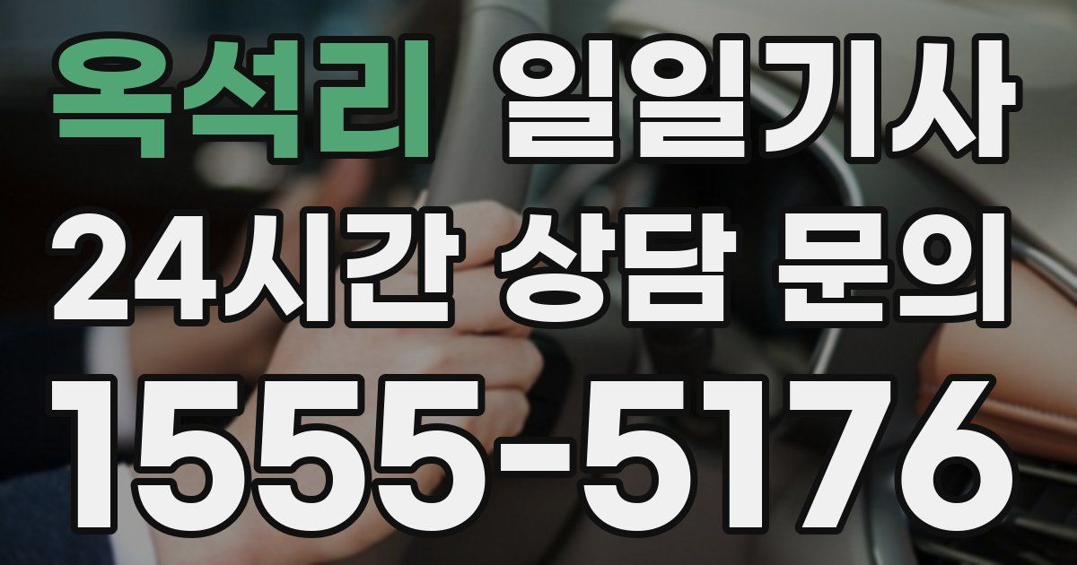 일일대리기사