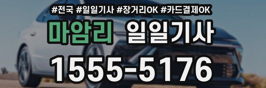 마암리 일일기사