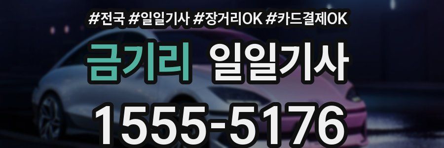 금기리 일일기사