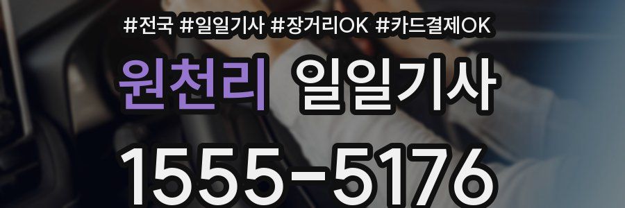 원천리 일일기사