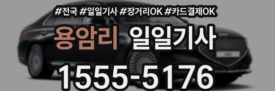 용암리 일일기사