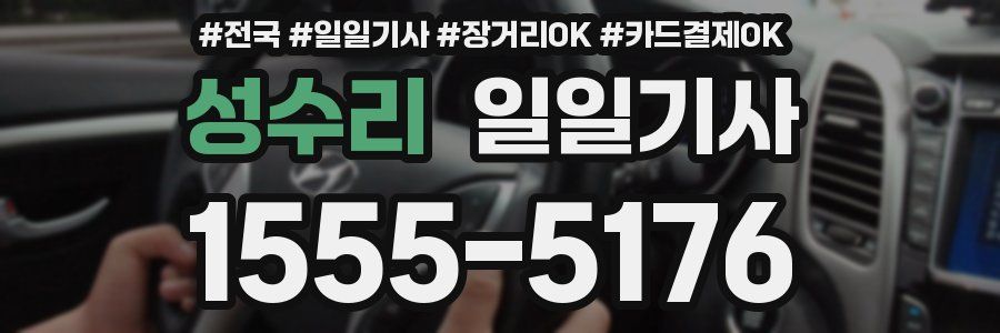 성수리 일일기사