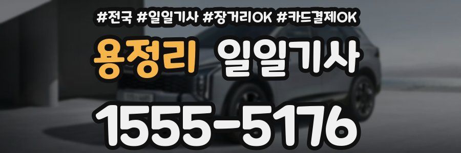 용정리 일일기사