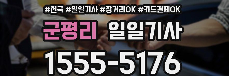 군평리 일일기사