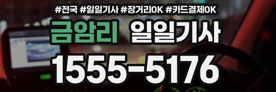 금암리 일일기사