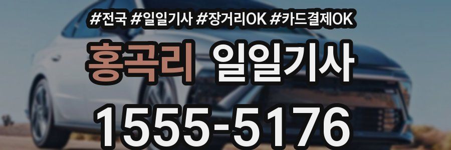 홍곡리 일일기사