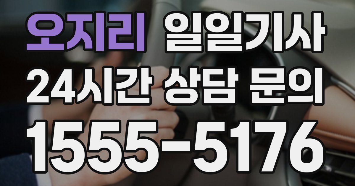 일일대리기사