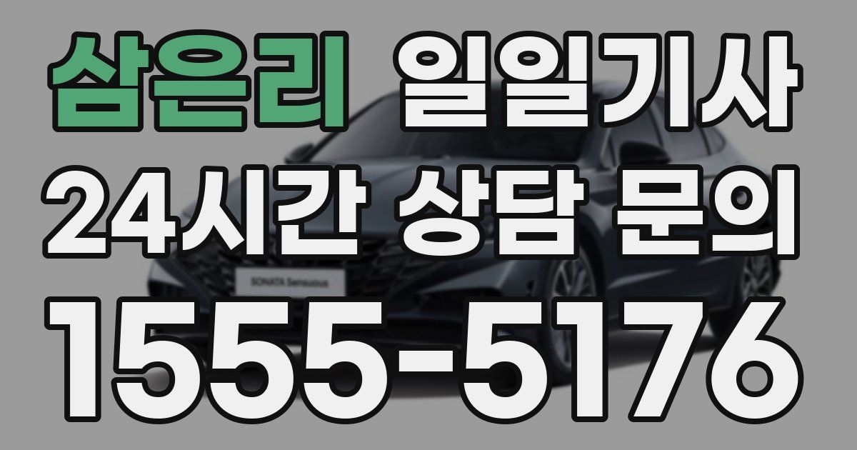 일일대리기사