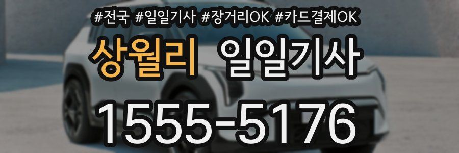 상월리 일일기사