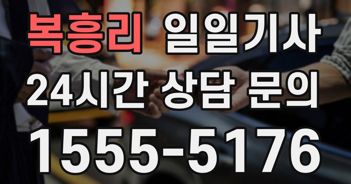 일일대리기사