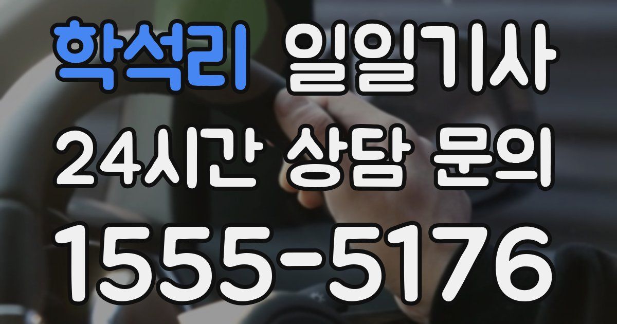 일일대리기사