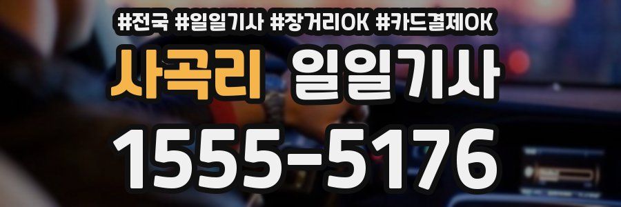 사곡리 일일기사