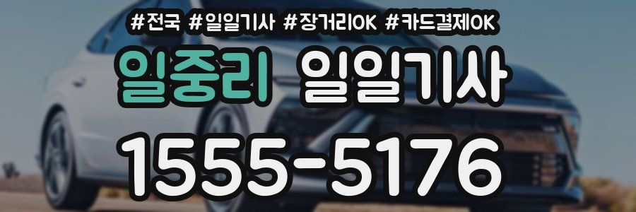 일중리 일일기사